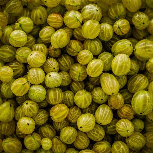 Amla (Gooseberry) - 250 g