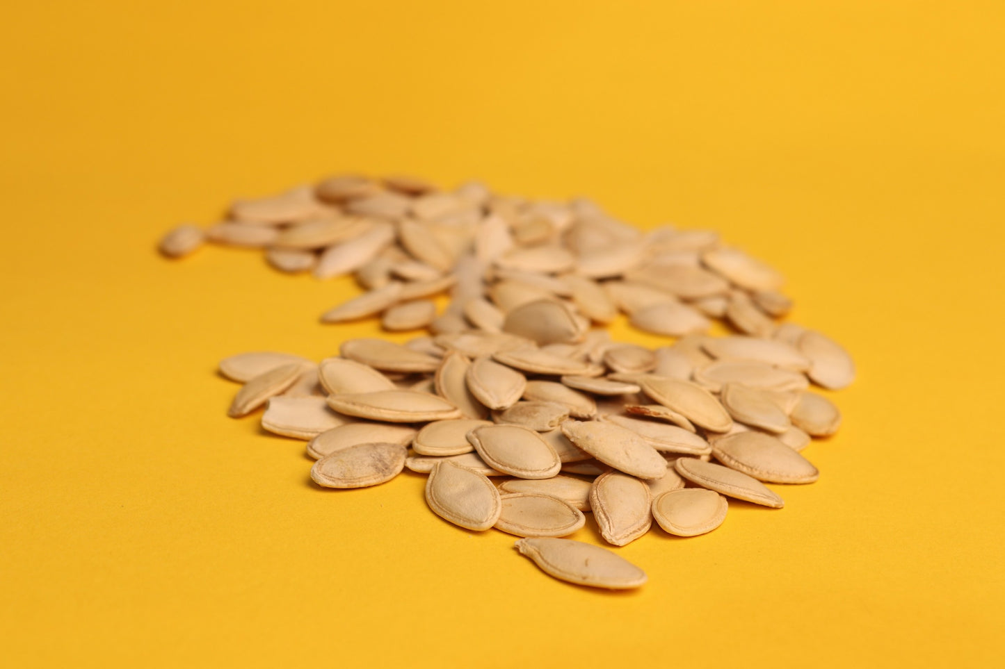 Kharbooza- Musk Melon Seeds