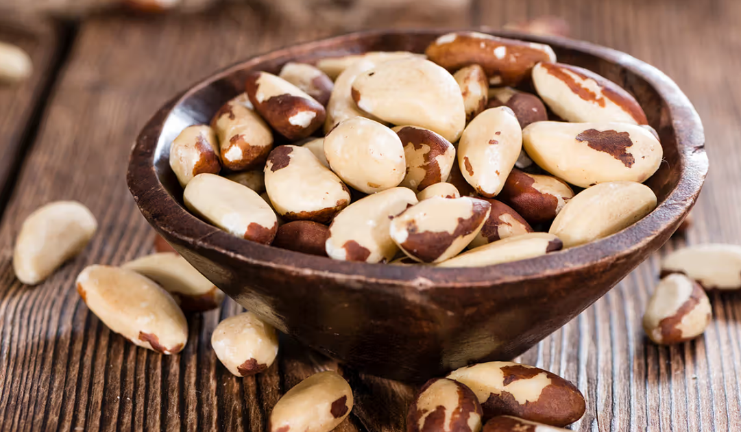 Brazil Nut
