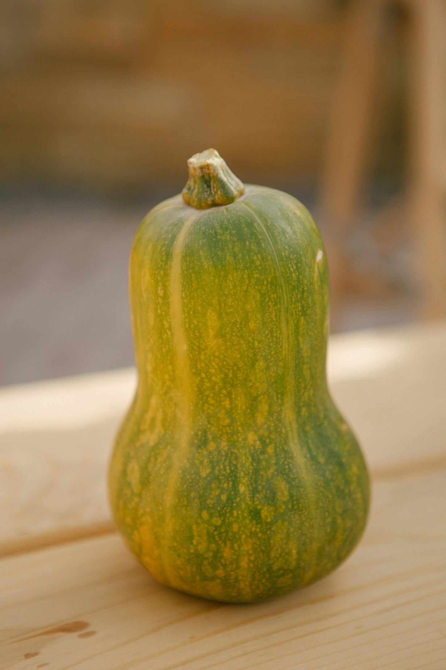 Lauki Gol- Round Bottle Gourd - 400 g